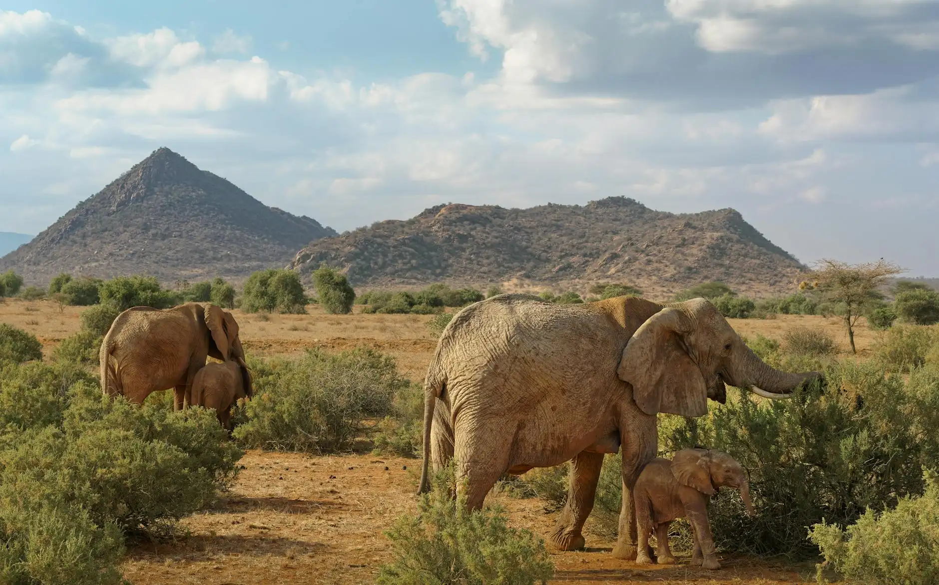 Мария Орлова Portfolio 8